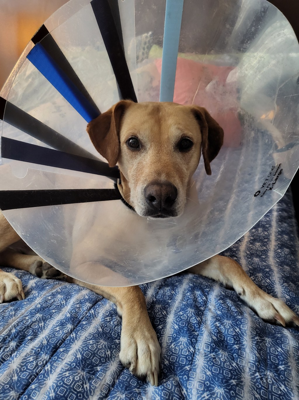 Let’s talk about&nbsp;Howard.